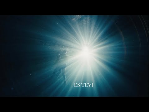 Dainis Skutelis un Raimonds Pauls – "Es tevi" (koncertieraksts, teksta video)