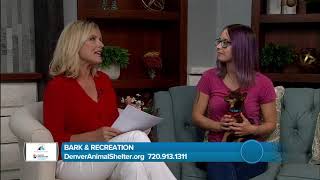 Denver Animal Shelter- Bark and Recreation