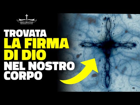 Individuata la firma di Dio nel corpo dell'uomo! Straordinaria scoperta della presenza di Dio