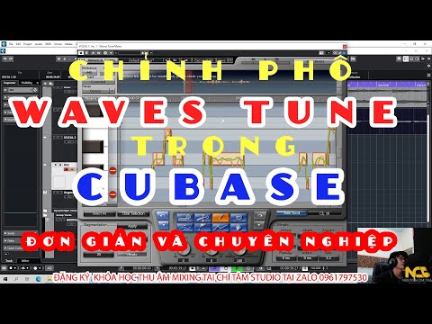 HƯỚNG DẪN CHỈNH PHÔ BẰNG WAVES TUNE TRONG CUBASE ĐƠN GIẢN VÀ HIỆU QUẢ  - NEW 2023 (Pitch Tune Vocal)