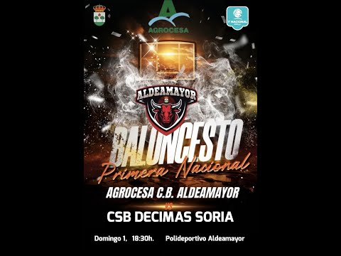 Jornada 14. AGROCESA C.B. ALDEAMAYOR - CSB DECIMAS SORIA
