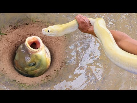 Unbelievable Fishing Technique | Use A Snake To Catch Fish In A Pit Deep In The Ground