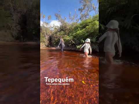 Curtindo a abertura da temporada na Serra do Tepequém, município de Amajari, estado de Roraima.