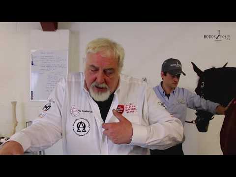 Hoof Mapping & Trimming | How to video | Full Video