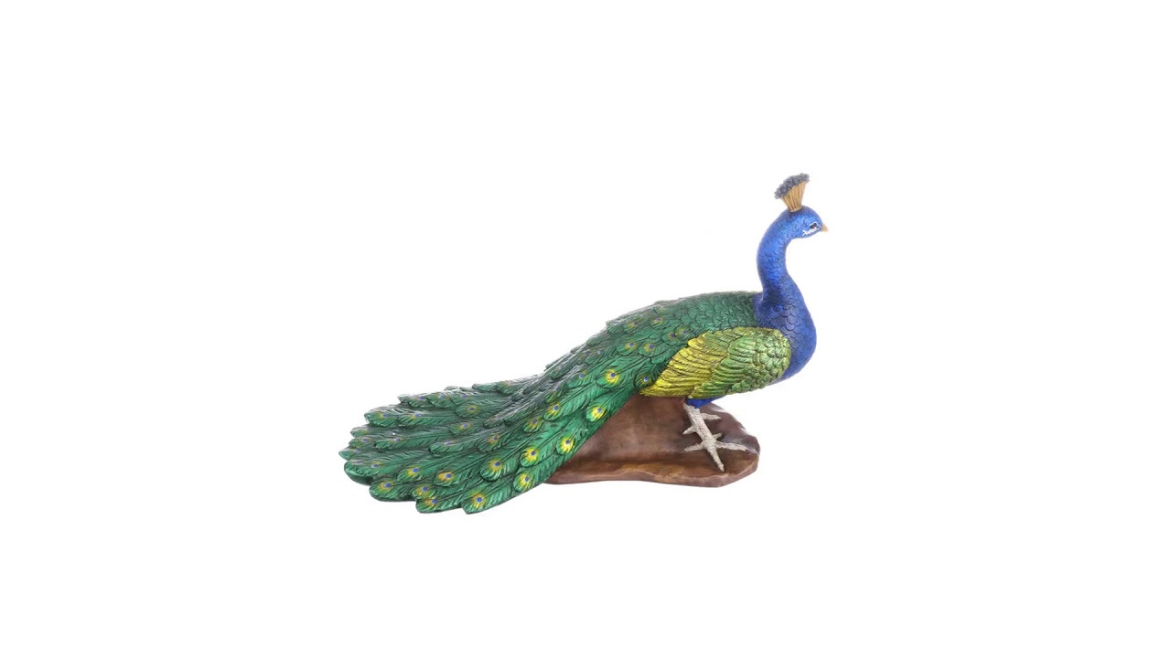The Regal Peacock Garden Statue: Medium Video