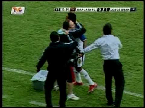 ALMEIDA VOLANTE CANHOTO