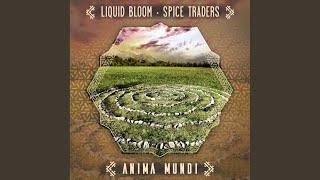 Anima Mundi (Kaya Project feat. Irina Mikhailova Remix)