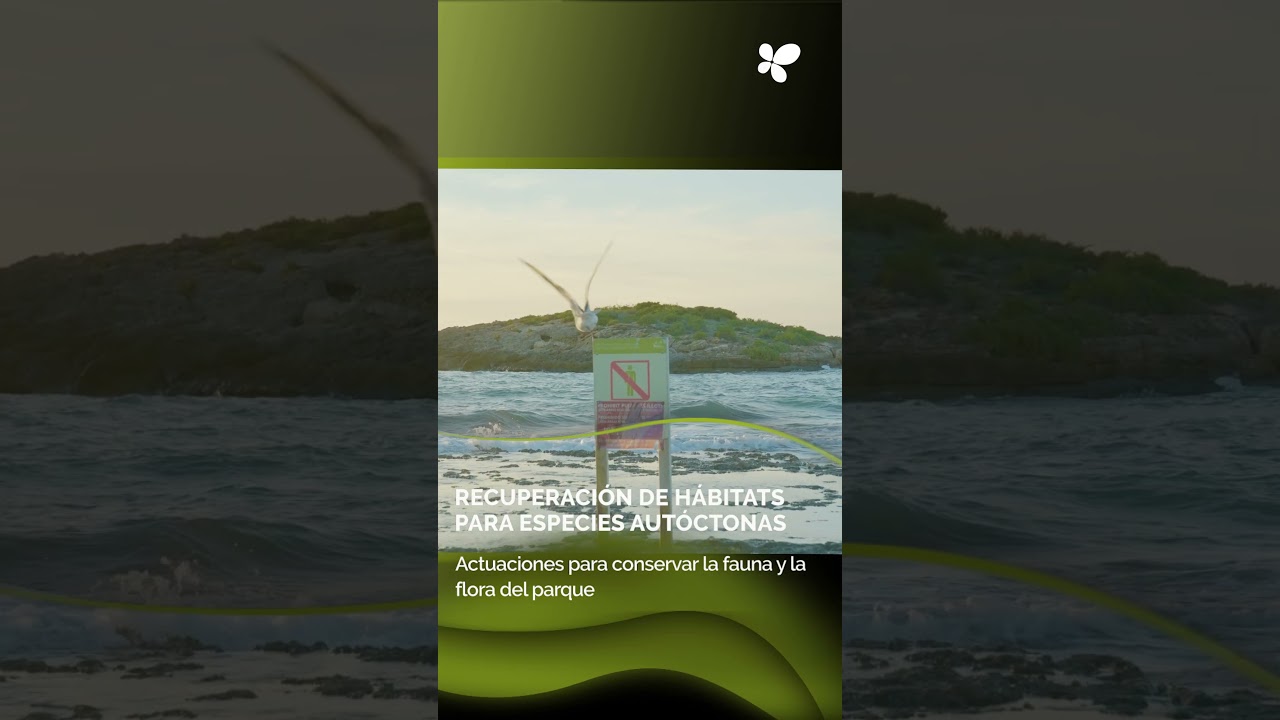 Es Trenc recupera sus hábitats y ordena el uso público del parque natural