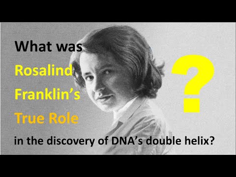 What was Rosalind Franklin’s true role in the discovery of DNA’s double helix