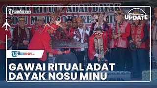 Panen Padi, Masyarakat Kabupaten Sanggau Gelar Ritual Adat Dayak Nosu Minu Podi ke-XVIII