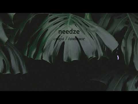 Needze - Coaja (Toulouse Rework)