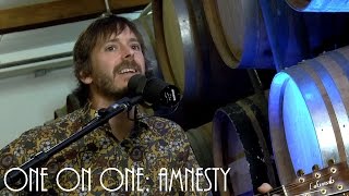 ONE ON ONE: Glen Phillips - Amnesty August 21st, 2016 City Winery New York