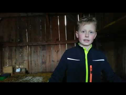 Unser Bauernhof BU Beitrag 3b