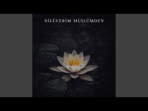 nilüferim müslümden