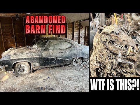 First Wash In 30 Years: ABANDONED Barn Find Buick Skylark Disaster Detail! | Satisfying Restoration