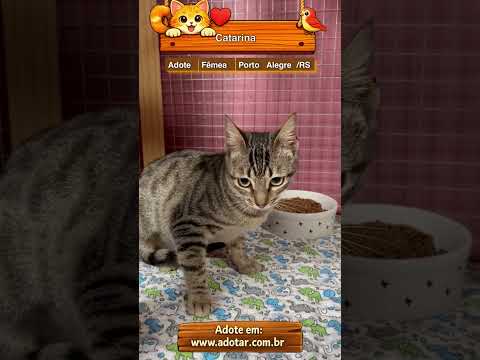 Vídeo de Catarina 