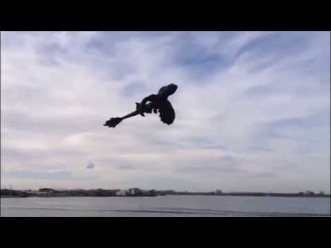 “How To Train Your Dragon” Kite Looks Just As Awesome As It Sounds | Bored Panda 
