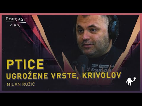 Milan Ružić: doktor veterine, ornitolog, ugrožene vrste ptica, krivolov, Agelast 193