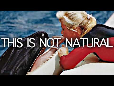 Trapped for Profit: The Dirty Marine Parks Business | Seed Documentary