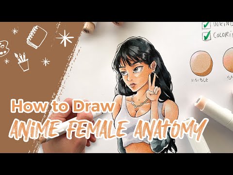 How To Draw Anime Female Anatomy | Ohuhu X ‪@Shrimpy
