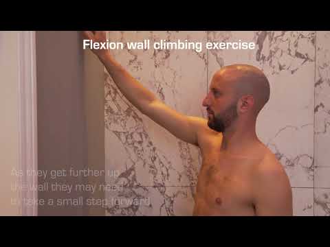 Shoulder Flexion Exercise - Wall Climbing
