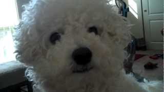 Want to go for a walk