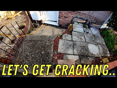 *JOYCE Had A FALL* - Can We Help Her Stay SAFE? & Cheer Her Up.. (Heartwarming Reaction)