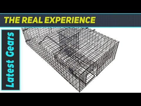 Ratinator Rat Trap Review: Does This Christmas Gift Actually Work?