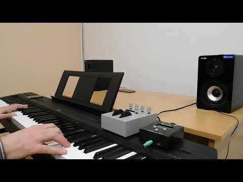 El.Pianos - Atemp HW Synth, MC1, Yamaha P45
