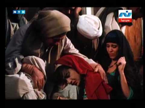 la bande annonce du film "LA SUEUR DES PALMIERS"