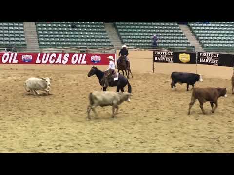 2019 NRCHA Futurity non pro limited