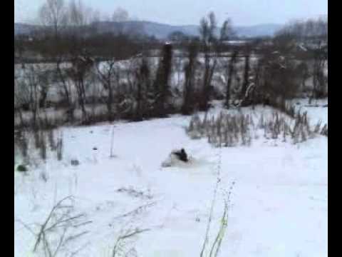 copii cu folia la lalasint