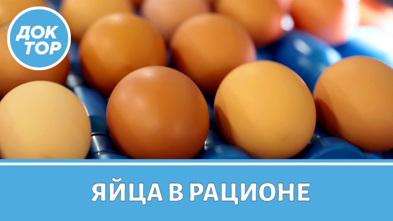 Сколько яиц можно есть в день