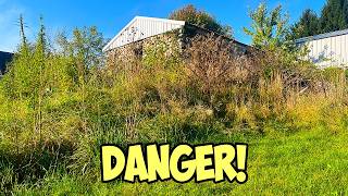 Danger in an Overgrown Yard, $20,000 worth of trash!