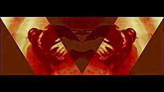 Evian Christ  /  Salt Carousel     Video