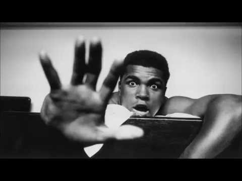 LAVAINE x JORE • CASSIUS CLAY