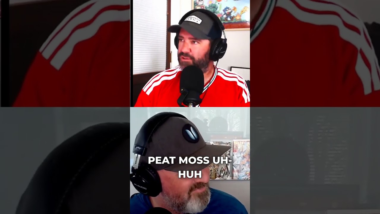 Montrose: It's NOT About Mountains & Roses! 🤯