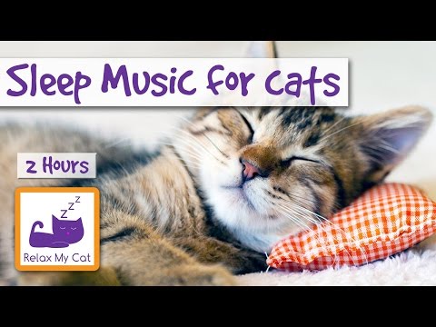 2 HOURS of Sleep Music for Cats. Try it Today and be Surprised!