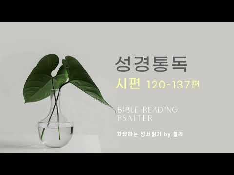 [성경 1독 도전🙏🏻] #219일 | 시편 120-137편 | 새번역 | 첼라의 치유하는 성서읽기
