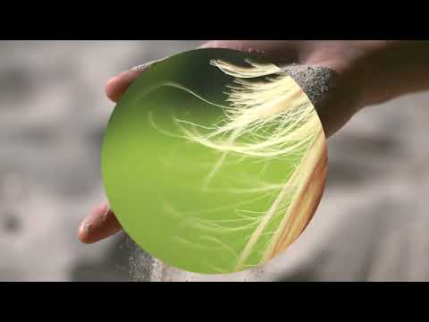 CLASICAS DEL AMOR 4605 PASCAL DANEL -  LA PLAYA DE LOS ROMANTICOS