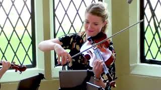 Download lagu Concerning Hobbits | Lord of the Rings | String Quartet Wedding Music mp3 Download lagu Concerning Hobbits | Lord of the Rings | String Quartet Wedding Music mp3