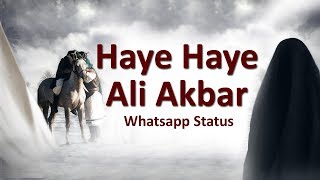 Haye Haye Ali Akbar - Whatsapp Status