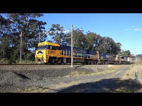 NR66 (Movember) / NR49 / LDP007 with PN 7SB1 - 31/7/21