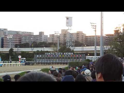 東京大賞典 2018 スタート