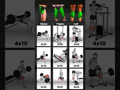 Ultimate Leg Day: Best Full Leg Workouts for Strength & Size!