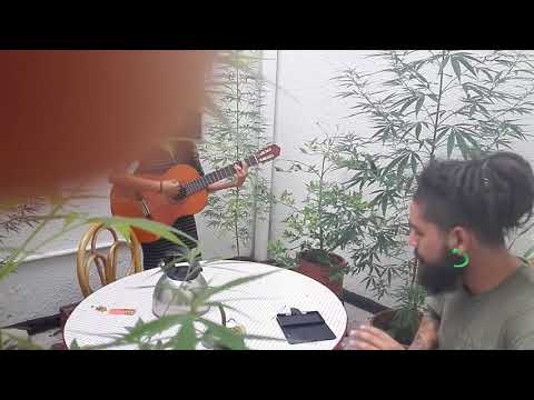 Arte oculto en las calles wayo