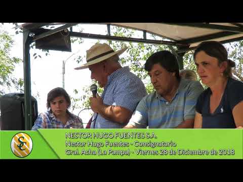 28-12-18 -  Nestor Hugo Fuentes - Consignatario - Nestor Hugo Fuentes S.A. - Gral.  Acha
