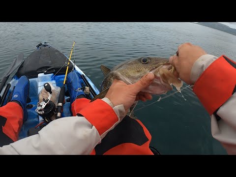 LUŹNE GADKI #40 | ODDEJ LOGO - ZMIENIAMY CZY NIE? LEKTOR NA FOCHU !!!