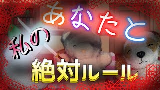 【ぬいぐるみpv】あなたと私の絶対ルール
