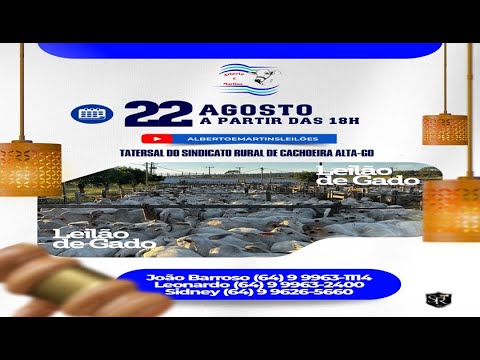 LEILÃO ALBERTO e MARTINS 22/08/2025 AS 18:00 hs em Cachoeira Alta Go.